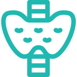 Thyroid Tests